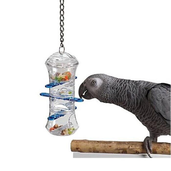 papagoi mänguasi Push and Pull